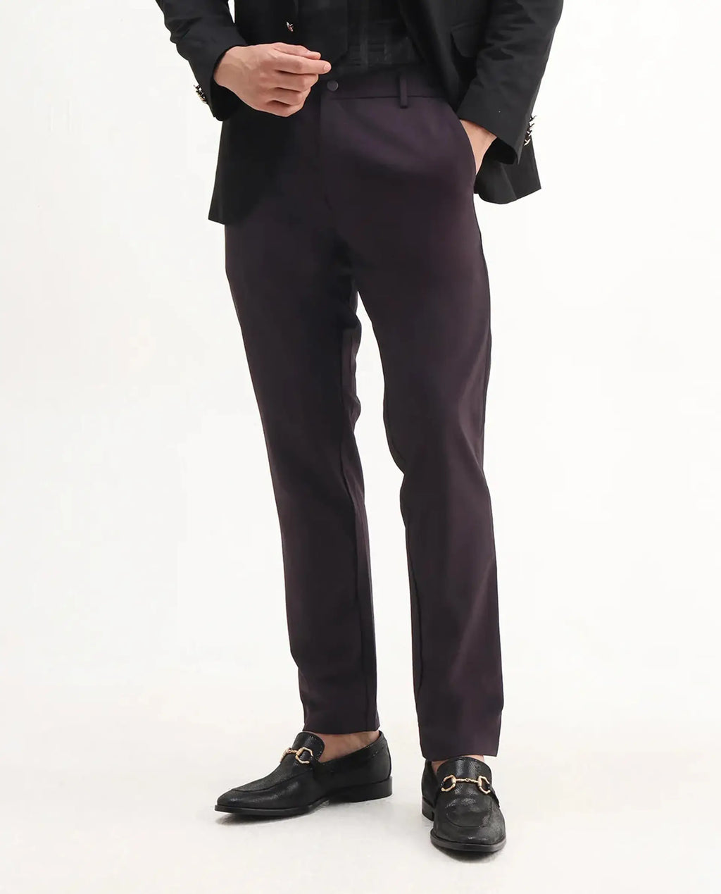 Rare Rabbit Men's Travel-Aw25 Dark Maroon Polyester Blend Plain Regular Fit Trouser