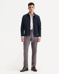 Rare Rabbit Men's Milos Dusky Purple Linen Blend Striped Print Regular Fit Trouser