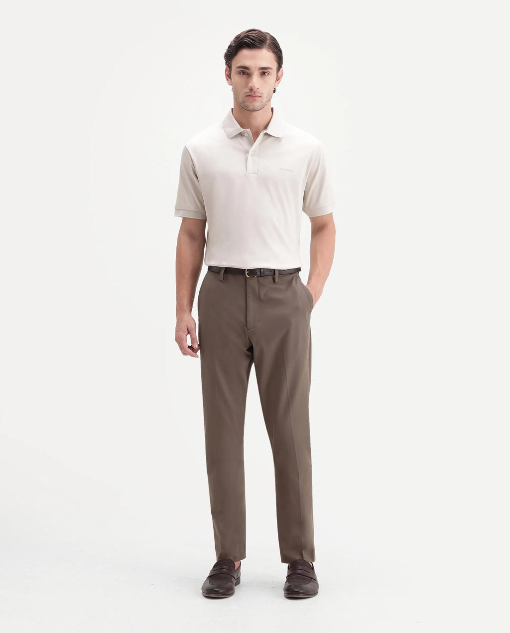 Rare Rabbit Men's Arcade-A26 Beige Polyester Blend Regular Fit Plain Trouser