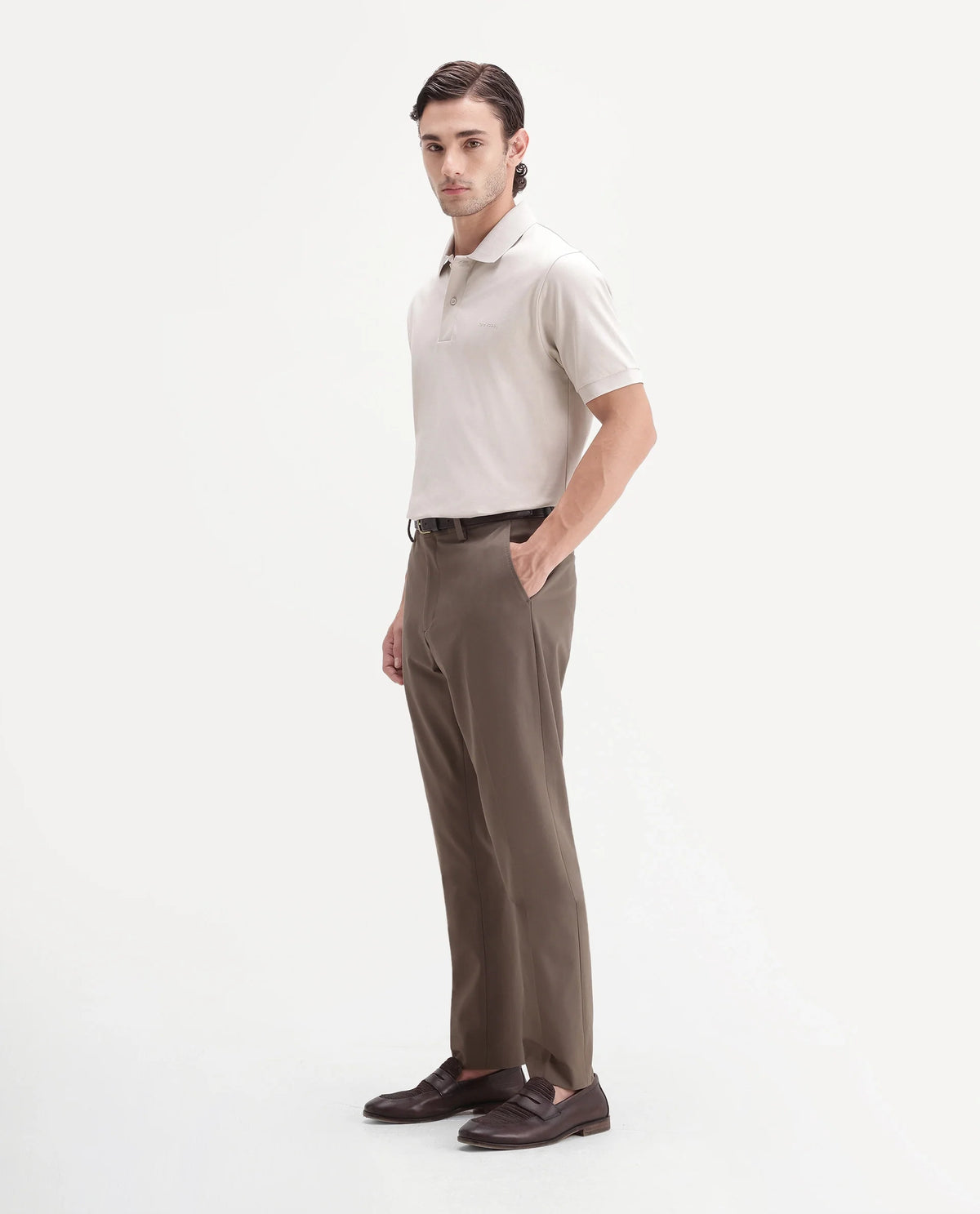 Rare Rabbit Men's Arcade-A26 Beige Polyester Blend Regular Fit Plain Trouser