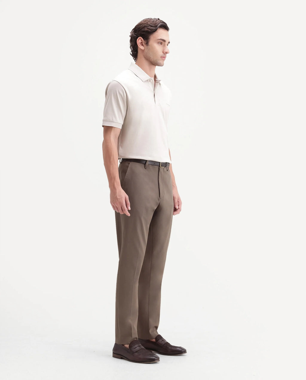 Rare Rabbit Men's Arcade-A26 Beige Polyester Blend Regular Fit Plain Trouser