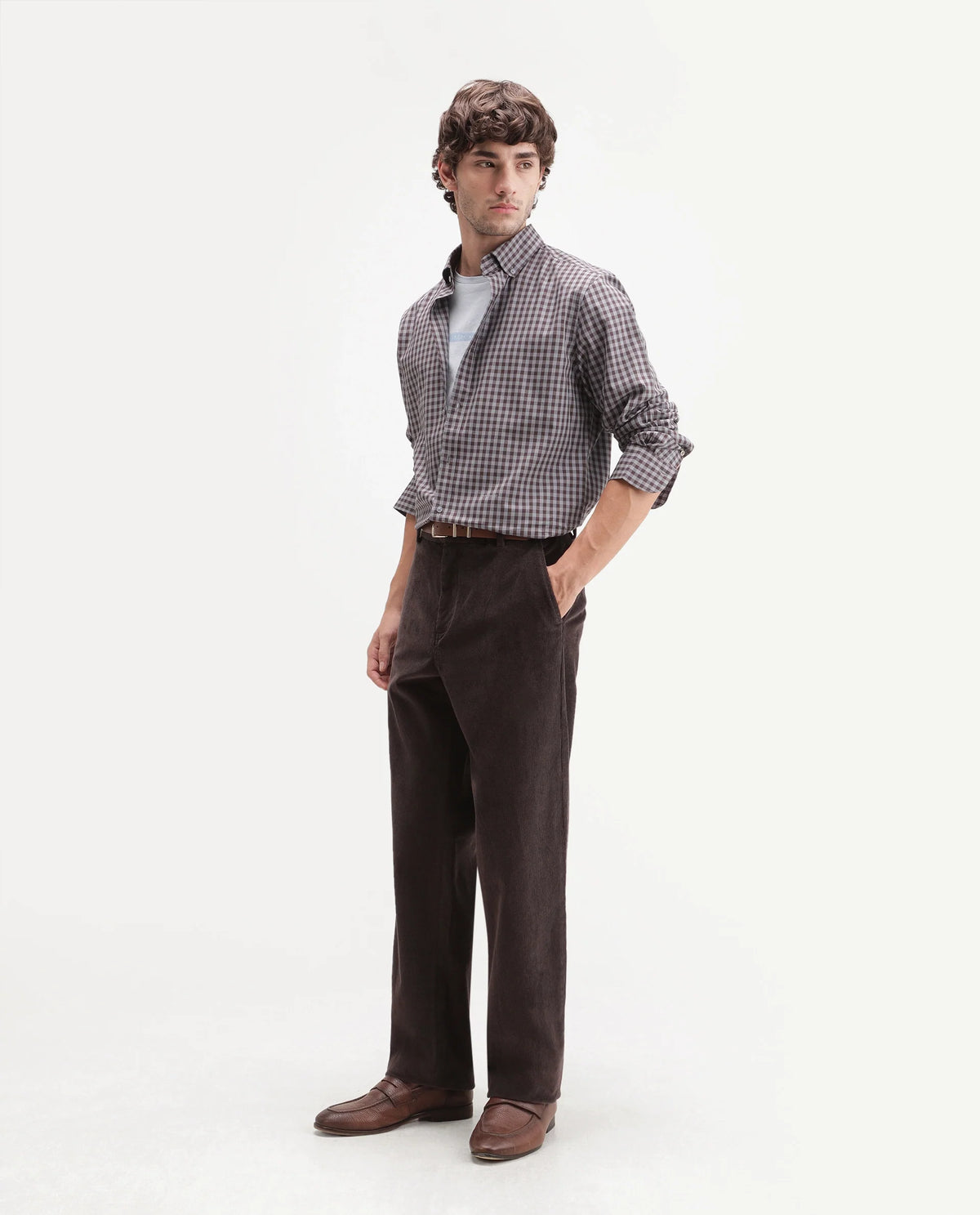 Rare Rabbit Men's Cordo Dark Brown Cotton Blend Button And Zip Regular Plain Trouser
